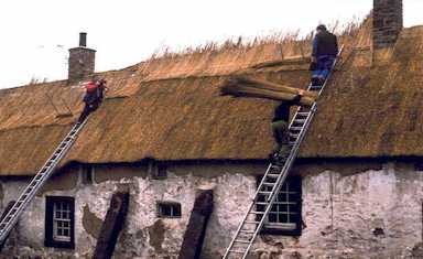thatching1.jpg (15178 bytes)